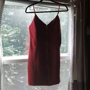 Wine Red Fitted Dress